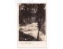 ŠUMAVA ŘEKA VYDRA r.1928 NÁKL. J. POSPÍCHAL °53792