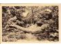 HOŘICE + KRAKONOŠ /rok1947?*BE713