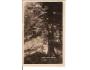 ČERCHOV = HANOVKA / ŠUMAVA /rok1935?*BE901