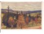 ŠPIČÁK /mal.KUBA / ŠUMAVA /rok1922?*BE906
