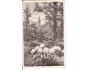 PRŮHONICE / PRAHA /rok1930?*a==1489