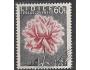 ČS o Pof.0951 15. výročí vyhlazení Lidic - růže
