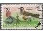 ČS o Pof.1474 Fauna - ptáci - kulík