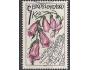 ČS o Pof.1492 Flóra - léčivé rostliny - náprstník