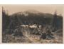 ŠUMAVA = LUŽNÝ + KRÁVA=rok1930?*A3648