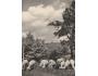 BESKYDY =RADHOŠT +OVCE /rok1952?*UF6096