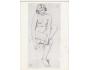 AKT =STUDIE=mal.J KNEBL /rok1937?*UF6114