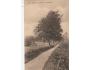LÁZNĚ BĚLOHRAD =Z BAŽANTICE /rok1919?*BE6570