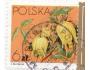 Polsko o Mi.2907 Flora - clematis