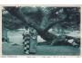 ASIE =JAPAN GEJŠA= ASIA=rok1918?*A9137