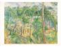 417006 Paul Cezanne