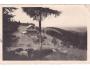 JAVORNÍKY PORTÁŠ+OVCE=VSETÍN=FOTO BITTNER=rok1945?*bf2972