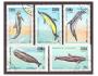 Kuba - ryba, ryby, delfín, velryba