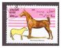 Afghanistán - kůň, koně