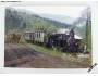 Pohlednice - Viglašská lesní železnice *480