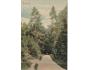 NYMBURK OSTROV ŠUMAVA r. 1906 NAKL J. PROCHÁZKA ***HC775