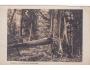 ŠUMAVA=PRALES BOUBÍN=rok1925*P2895