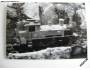 Fotografie černobílá zahradní železnice *3003