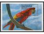 Guyana-ptáci-papoušek ara-blok 242 **