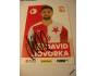 David Hovorka - Slavia Praha - fotbal