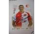 Lukáš Provod - Slavia Praha - fotbal