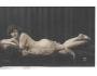 AKT-POHLEDNICE /MANDEL-260 / r.1920? / M373-4