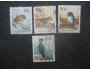 Nový Zéland fauna ptáci ražené