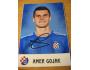 Amer Gojak - Bosnia-Herzegovin A- SIGNED PHOTO