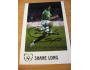 Shane Long - Republic of Ireland - SIGNED PHOTO