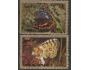 Umm Al Qiwain o Fauna - motýli 2x (velký form.) /k25