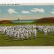Post Card USA nástup vojska Y/203