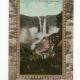 Post Card USA Canadien Rockies Y/175