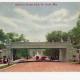 Post Card USA St.Luis park s auty Y/172