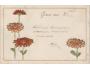 přání - květiny DA 1899