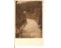 RIEGROVA STEZKA / SEMILY /rok1926?*fa1319
