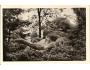 HOŘICE / SOCHA KRAKONOŠ /rok1940?*OB1488