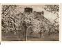 KUNĚTICKÁ HORA /rok1930?*OB1542