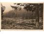 PLESNÉ JEZERO / ŠUMAVA /rok1925?*ca1201