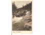 PARTIE NA VYDŘE / ŠUMAVA /rok1922?*ca1218