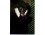 Opice Gibon černý,O8/345