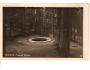 ŠUMAVA / PRAMEN VLTAVY /rok1936?*BE1408