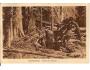 ŠUMAVA / PRALES /rok1916?*BE1409