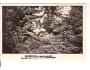 HOŘICE = KRAKONOŠ /sochař L.ŠALOUN /rok1932?*BE1452