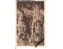 MACOCHA = SLOUPSKÉ JESKYNĚ /rok1924?*BE1495
