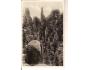 ADRŠPACH /rok1930?*BE1613