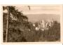 BOSKOVICE HRAD/r.1950//M80-223