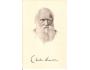 CHARLES DARWIN = STENGEL Nr.49104 /rok1920?*a==1685