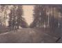 PERUC OŘECHOVÁ ALEJ cca r. 1925 °53976N
