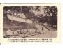 ASIA =JAPONSKO =PAGODA asi rok1904?*a==2058