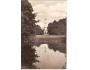 LEDNICE = MINARET = rok1950?*a==2104